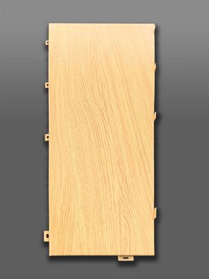 우수한 공예품 알루미늄 장단 건축물 의 미적 인 면 을 새로운 높이 로 끌어올리다